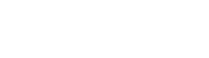 David Group